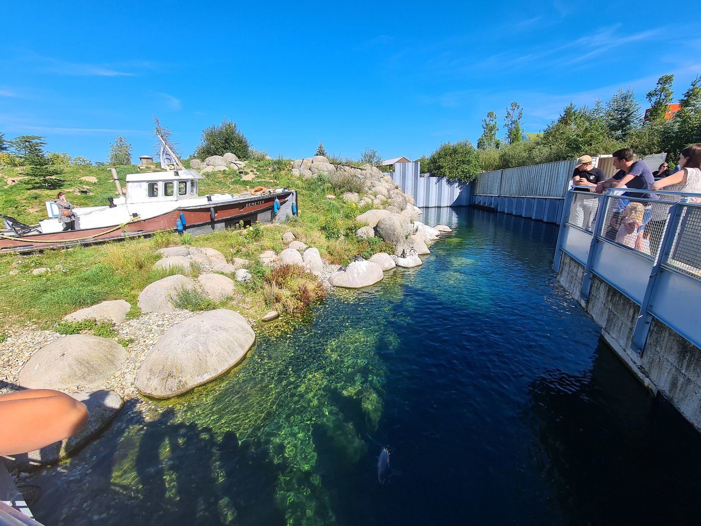 Nortica - Humboldt penguin enclosure