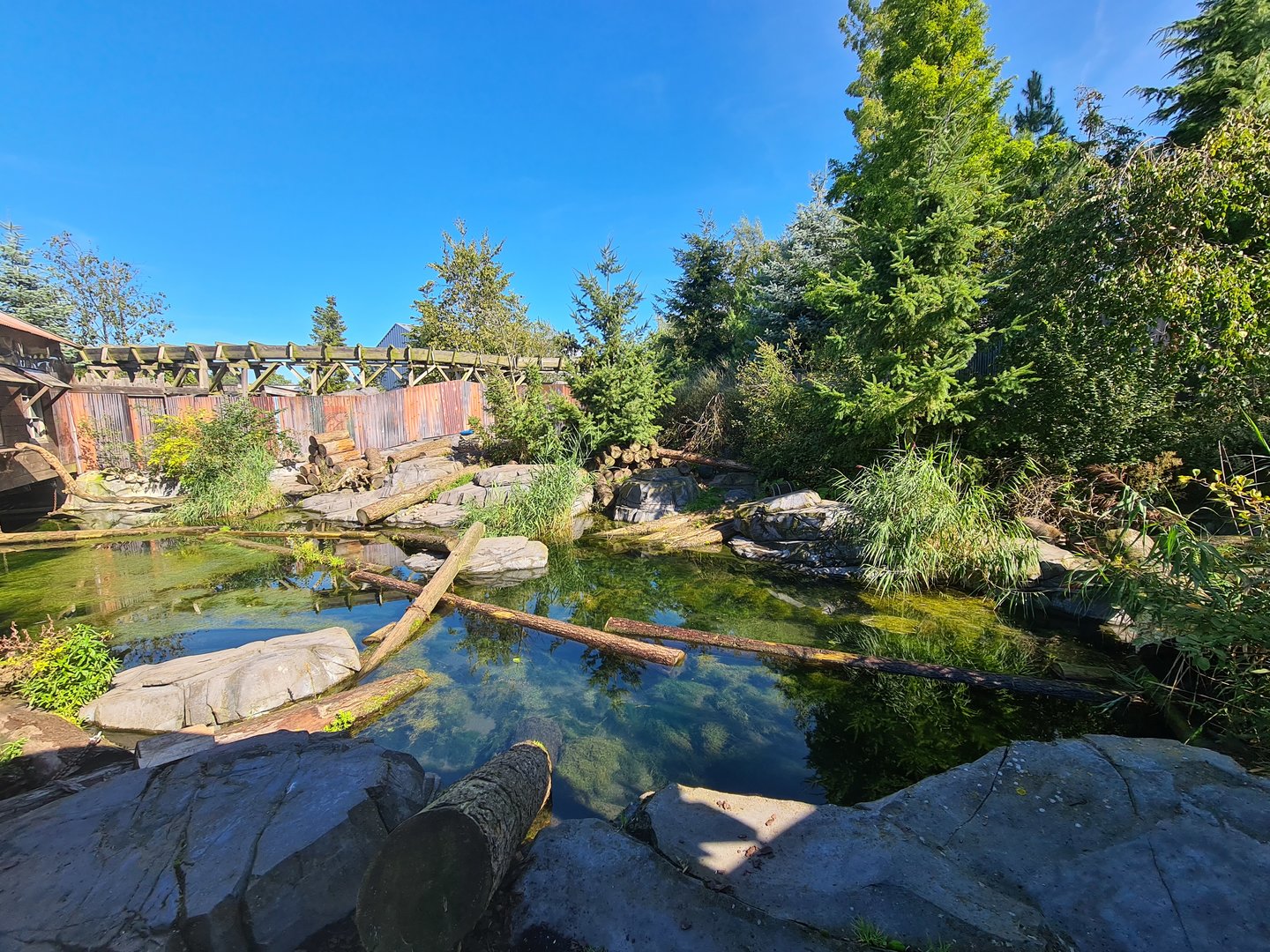 Nortica - Northern raccoon and Striped skunk enclosure
