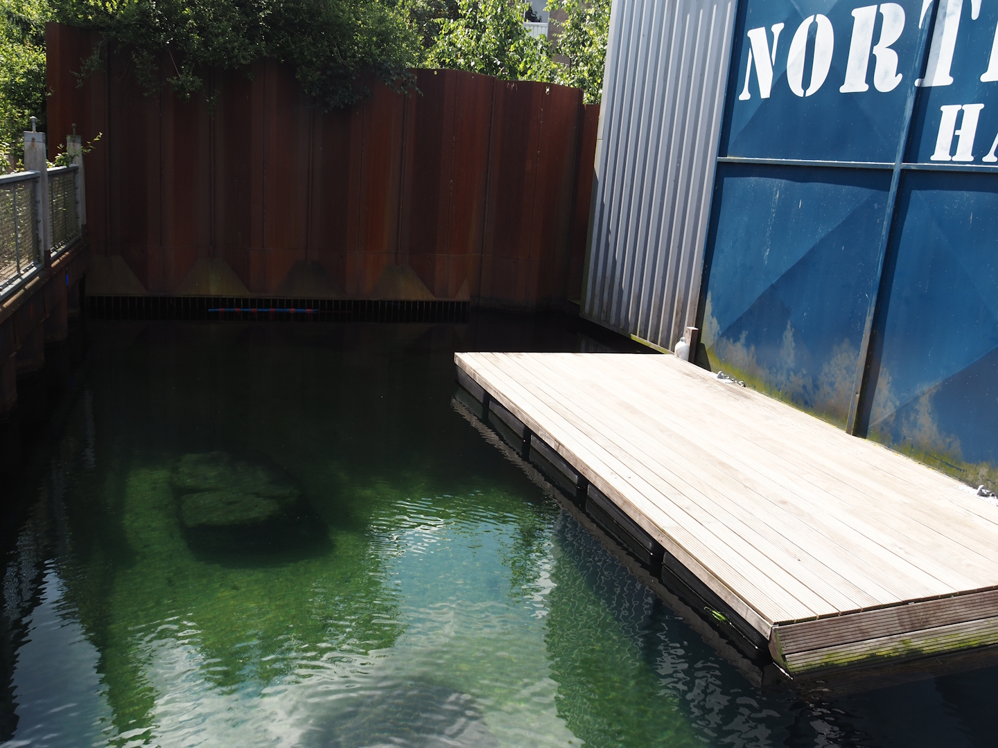 Nortica - Part of California sea lion exhibit next to Arctic 1 4D movie theater, 2024-06-23