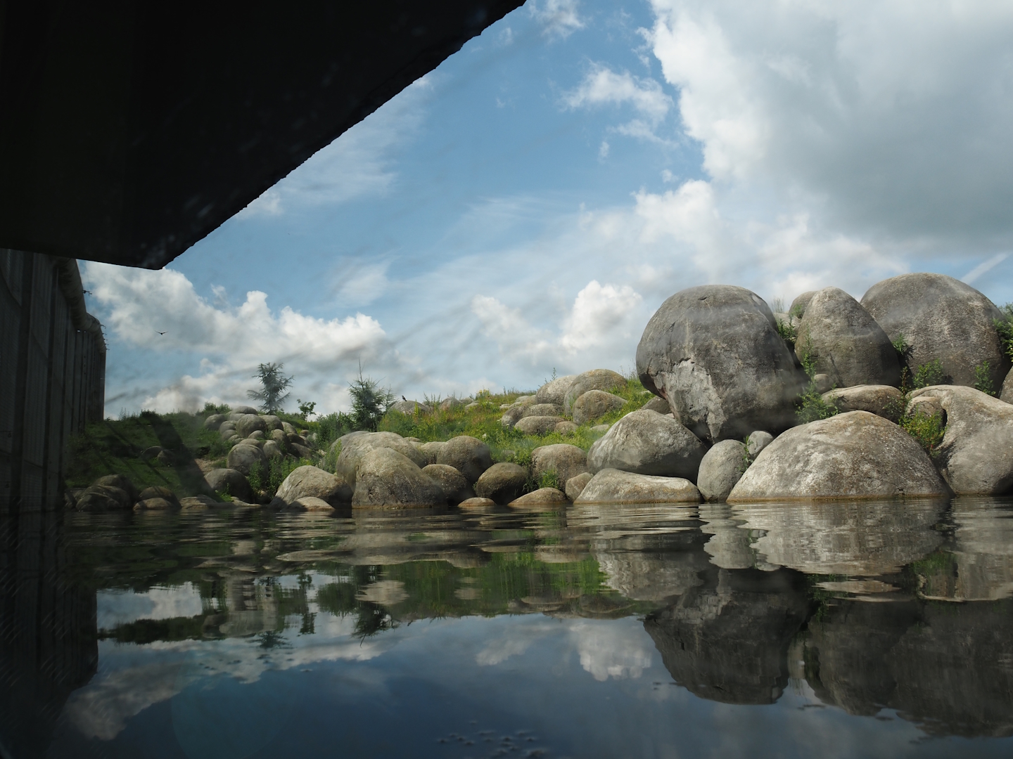 Nortica - Polar bear exhibit seen from underwater viewing area, 2024-06-23