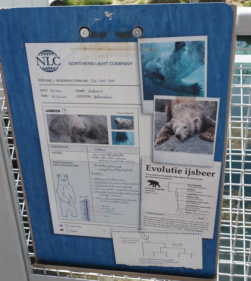 Nortica - Polar bear information sign, 2024-06-23