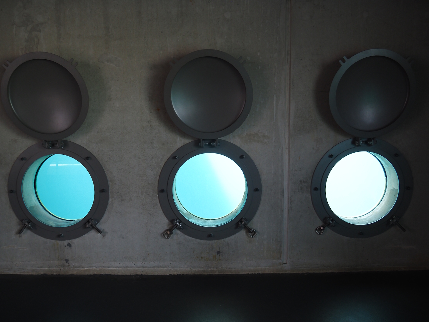 Nortica - Polar bear underwater viewing portholes, 2024-06-23