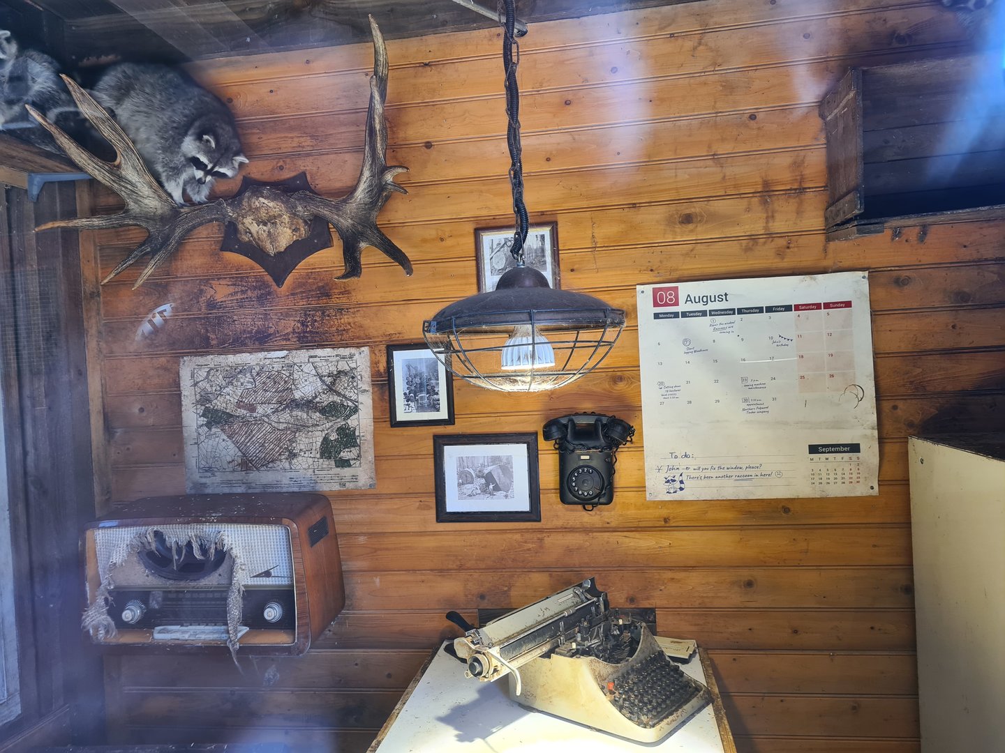 Nortica - Raccoon and skunk indoor holding