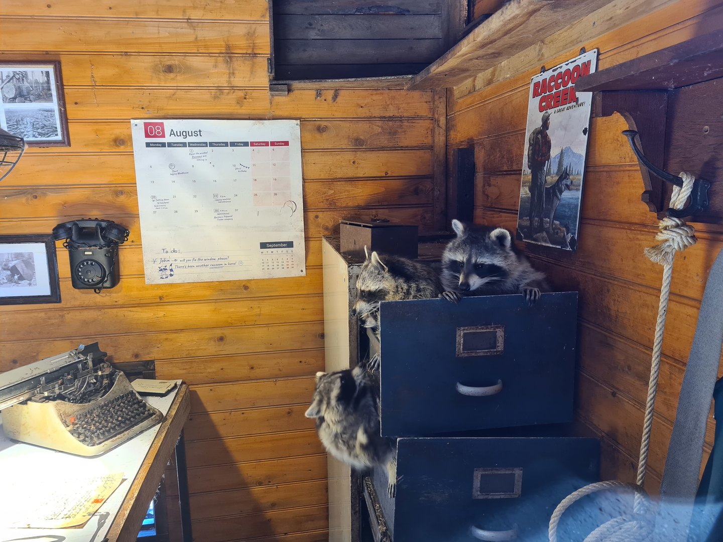 Nortica - Raccoon and skunk indoor holding