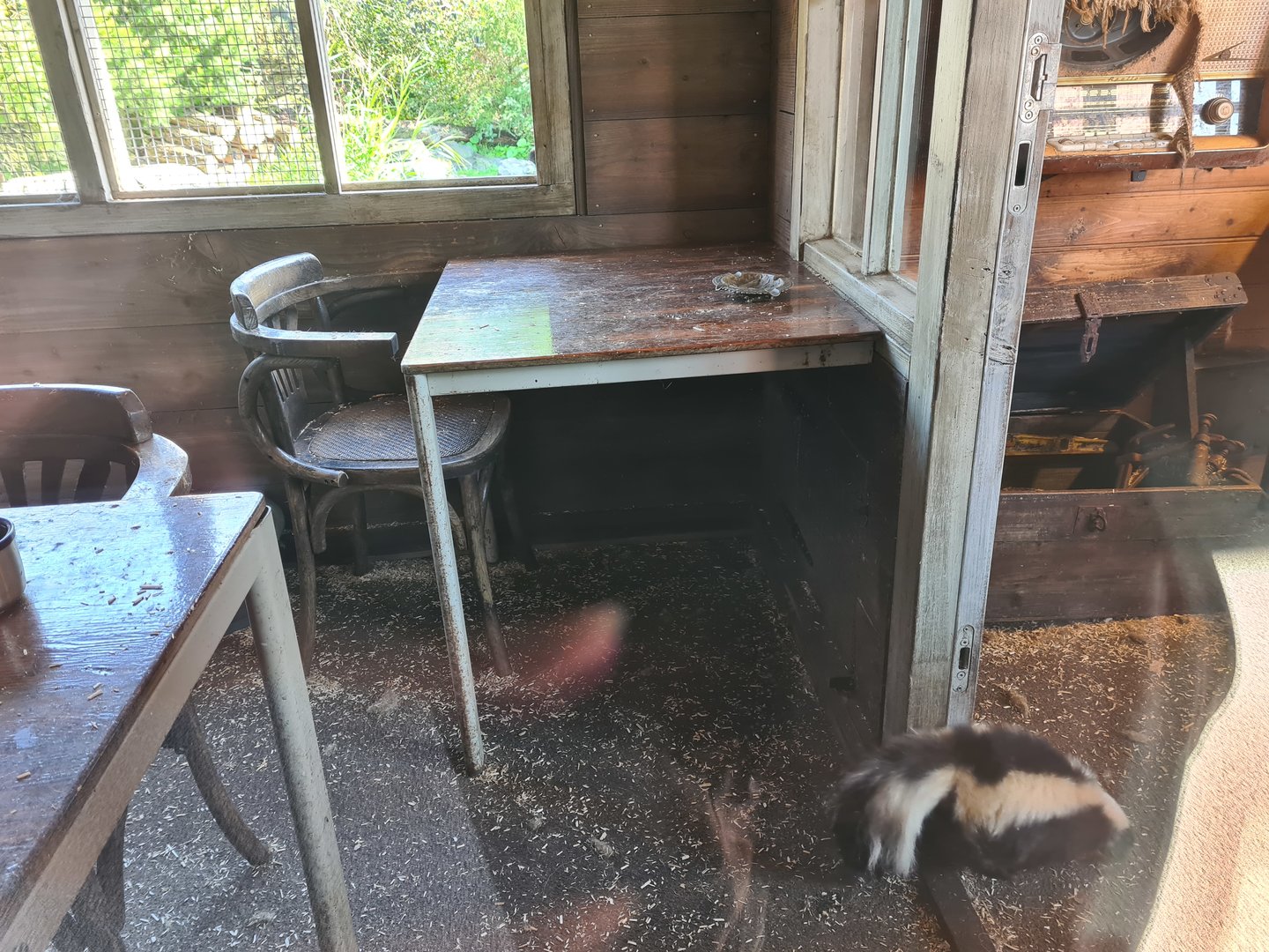 Nortica - Raccoon and skunk indoor holding