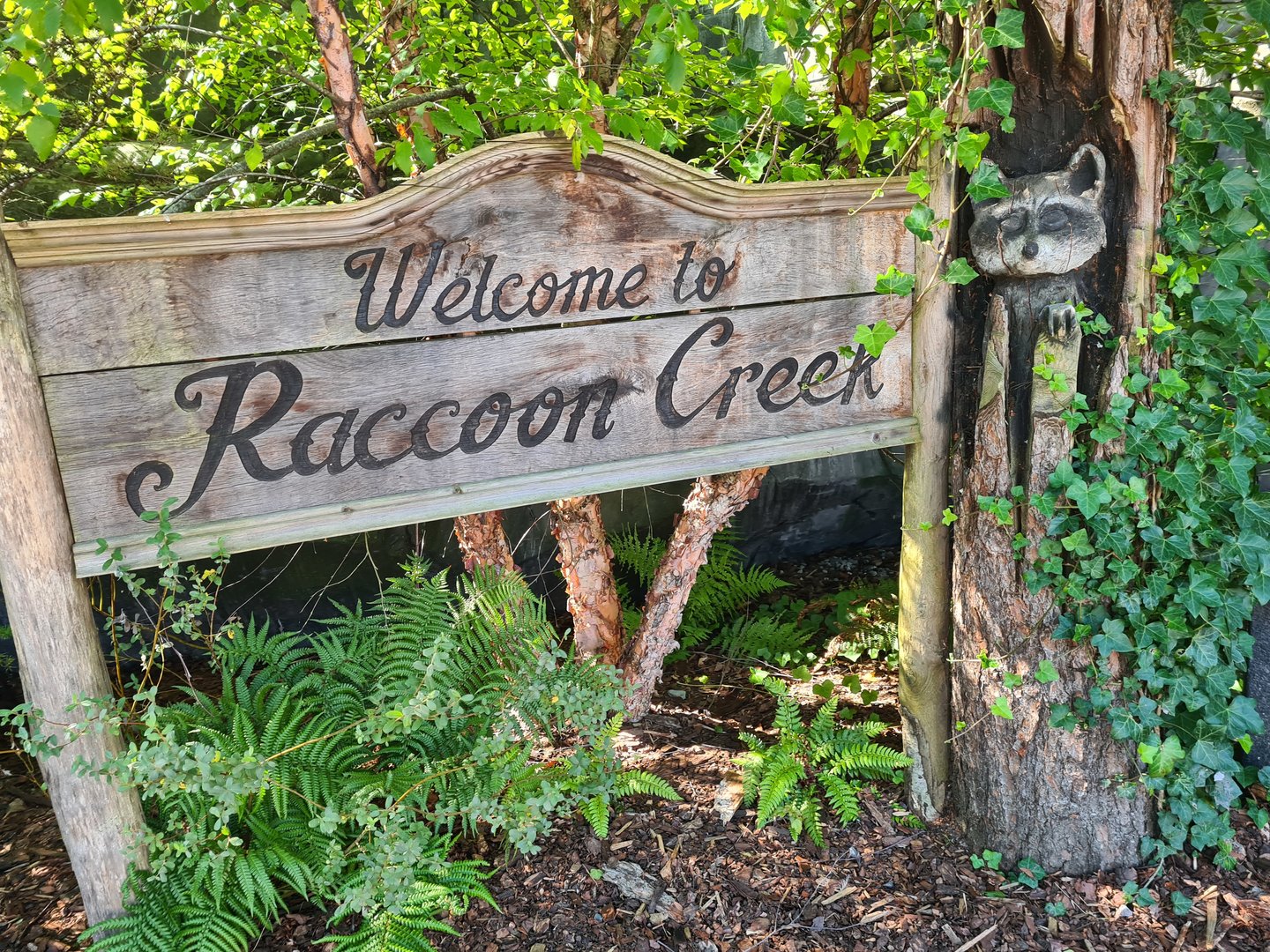 Nortica - Raccoon creek signage