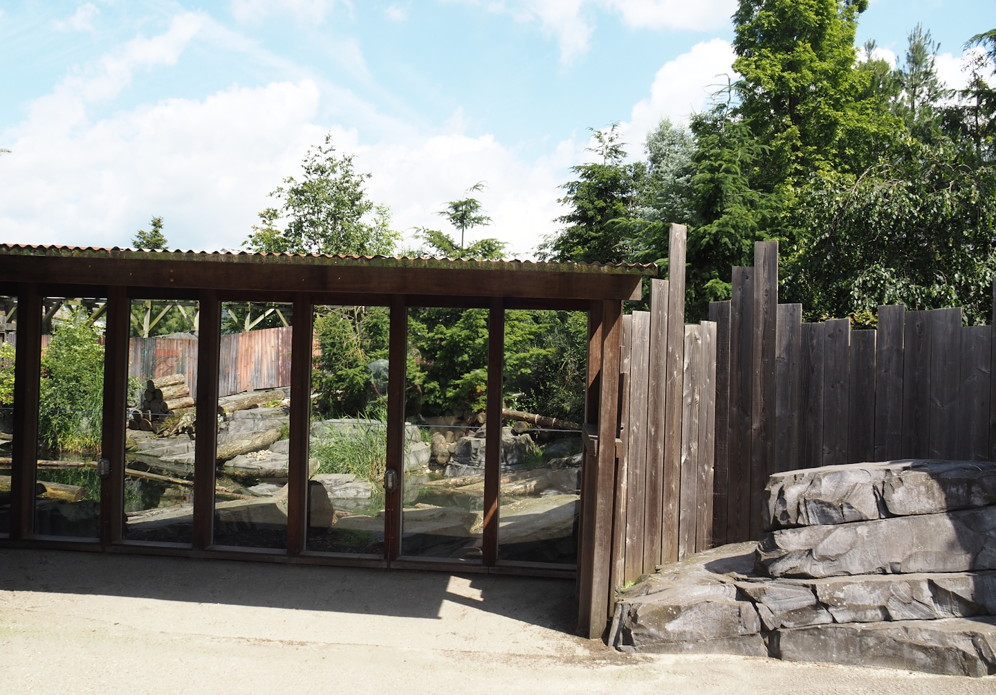 Nortica - Raccoon exhibit viewing windows, 2024-06-23