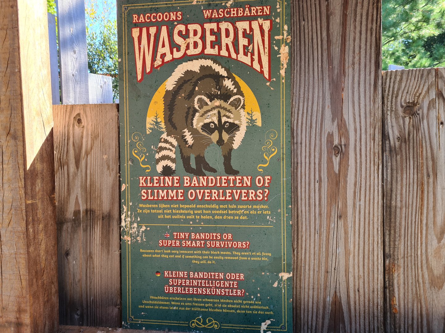 Nortica - Raccoon signage