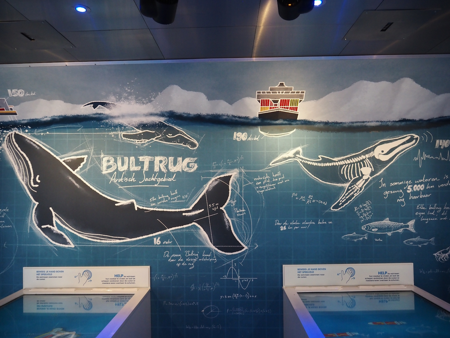 Nortica - Sea and whale education building with sonar station theming, 2024-06-23