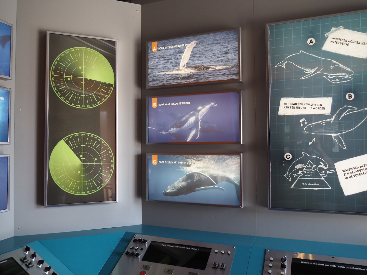 Nortica - Sea and whale education building with sonar station theming, 2024-06-23