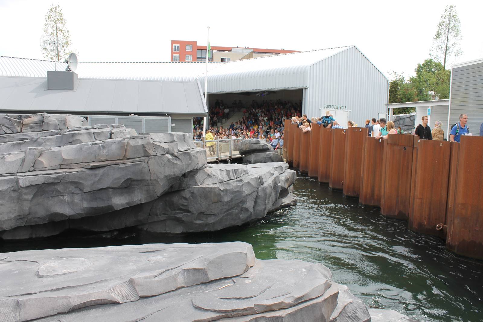 NORTICA - sea lion-show