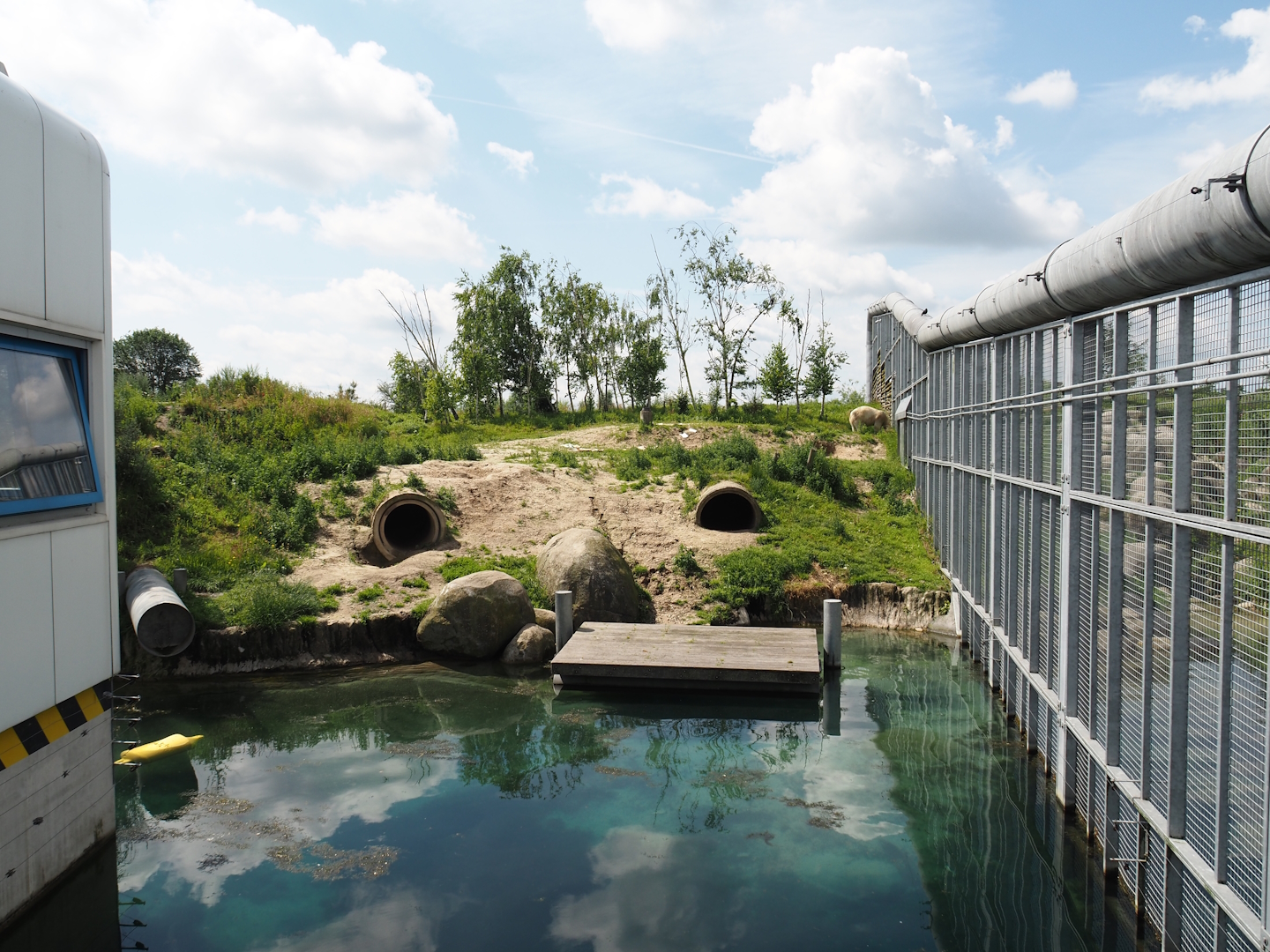 Nortica - Second polar bear exhibit, 2024-06-23