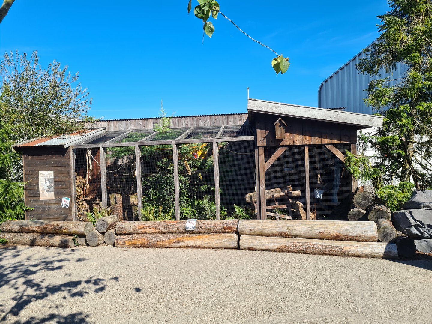 Nortica - Siberian red squirrel enclosure