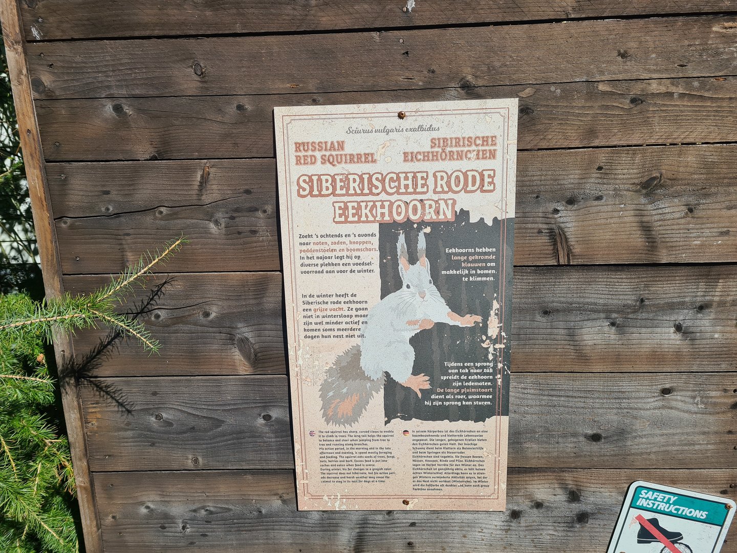 Nortica - Siberian red squirrel signage