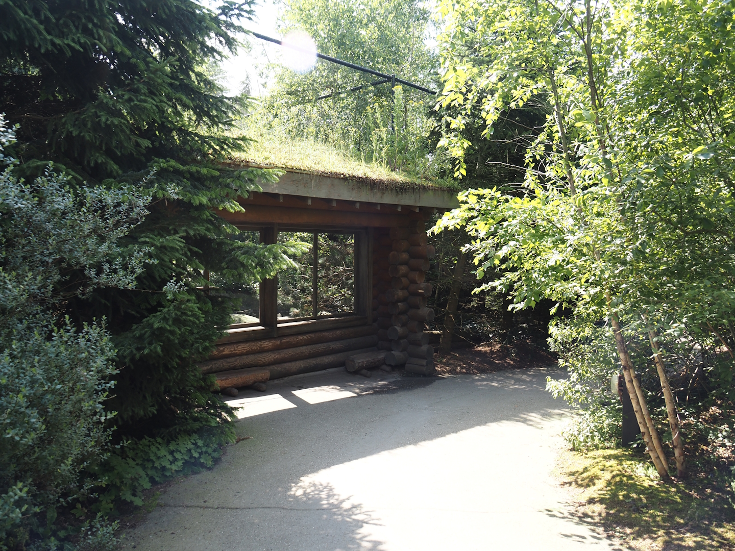 Nortica - Snowy owl aviary viewing area, 2024-06-23