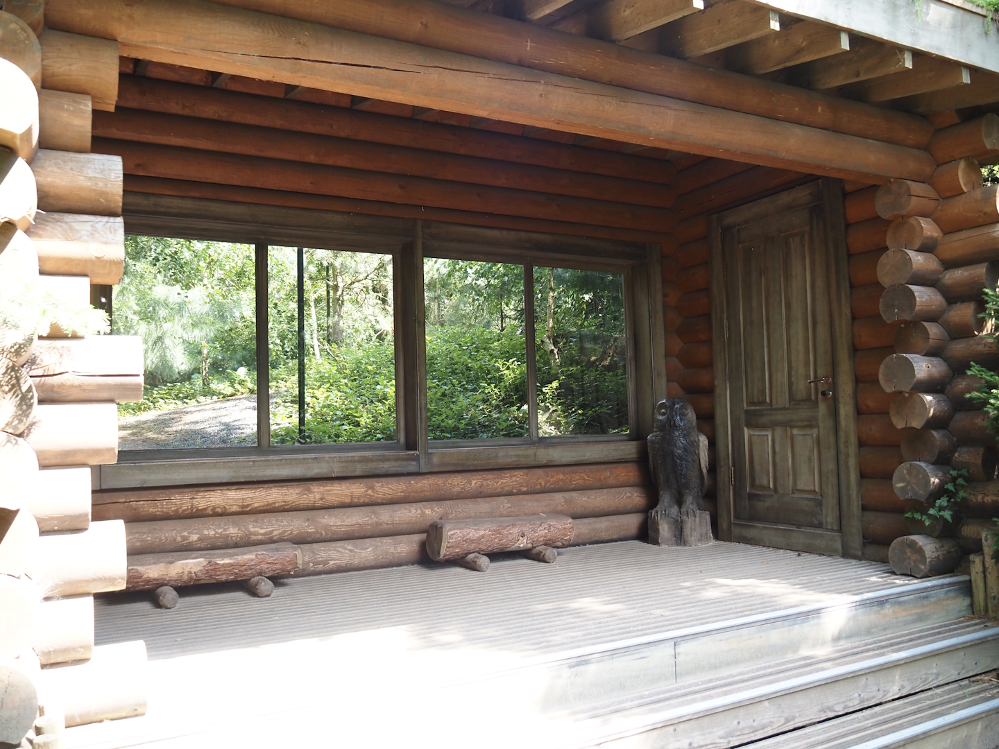 Nortica - Snowy owl aviary viewing area, 2024-06-23