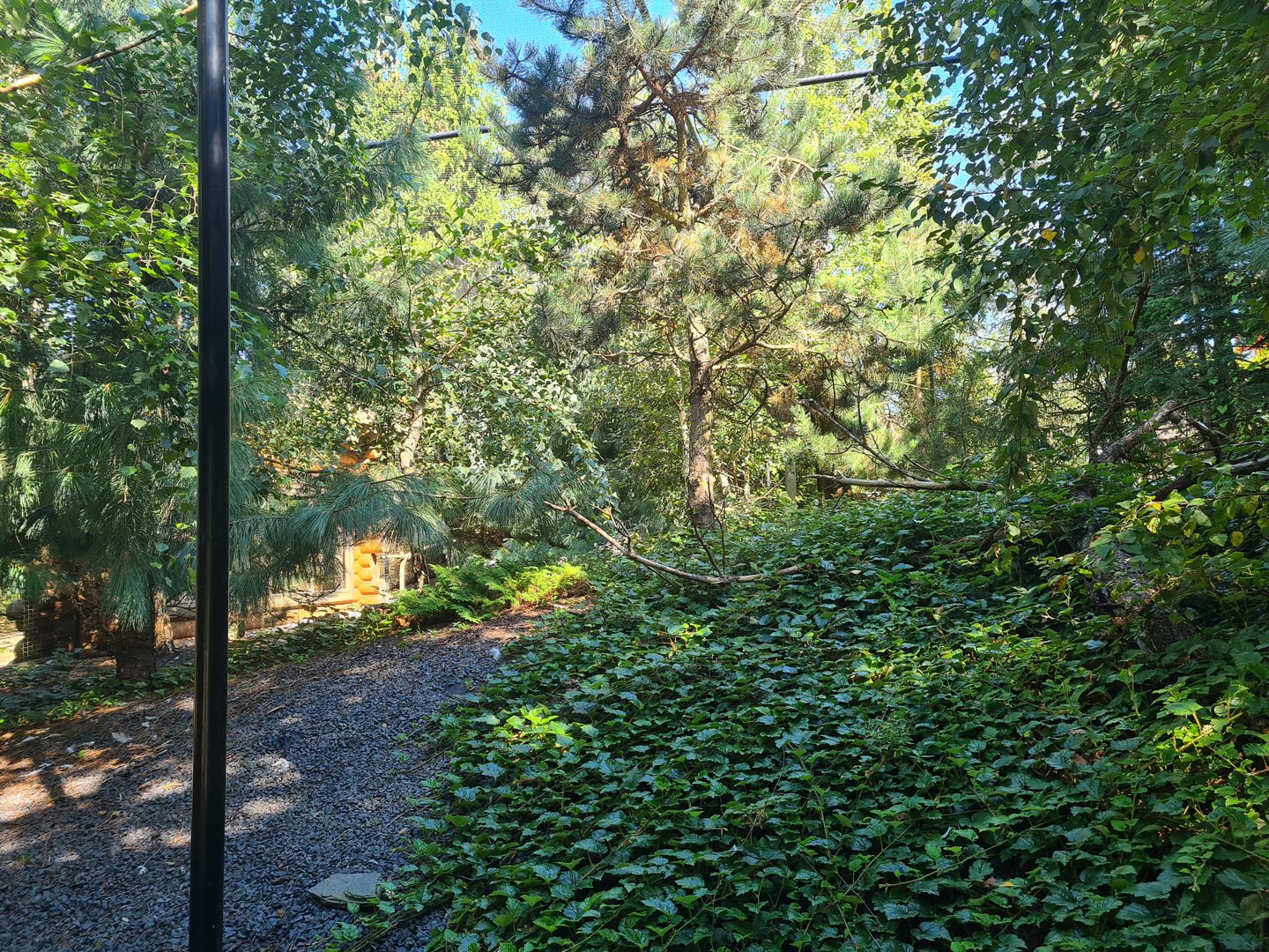 Nortica - Snowy owl enclosure