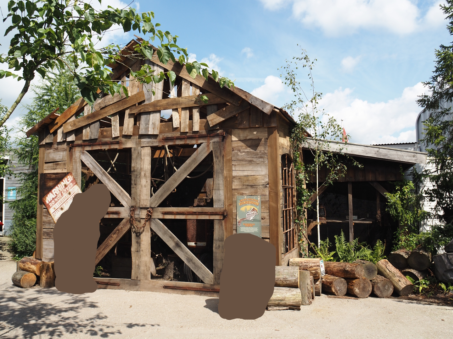 Nortica - Swinhoe's striped squirrel exhibit, 2024-06-23