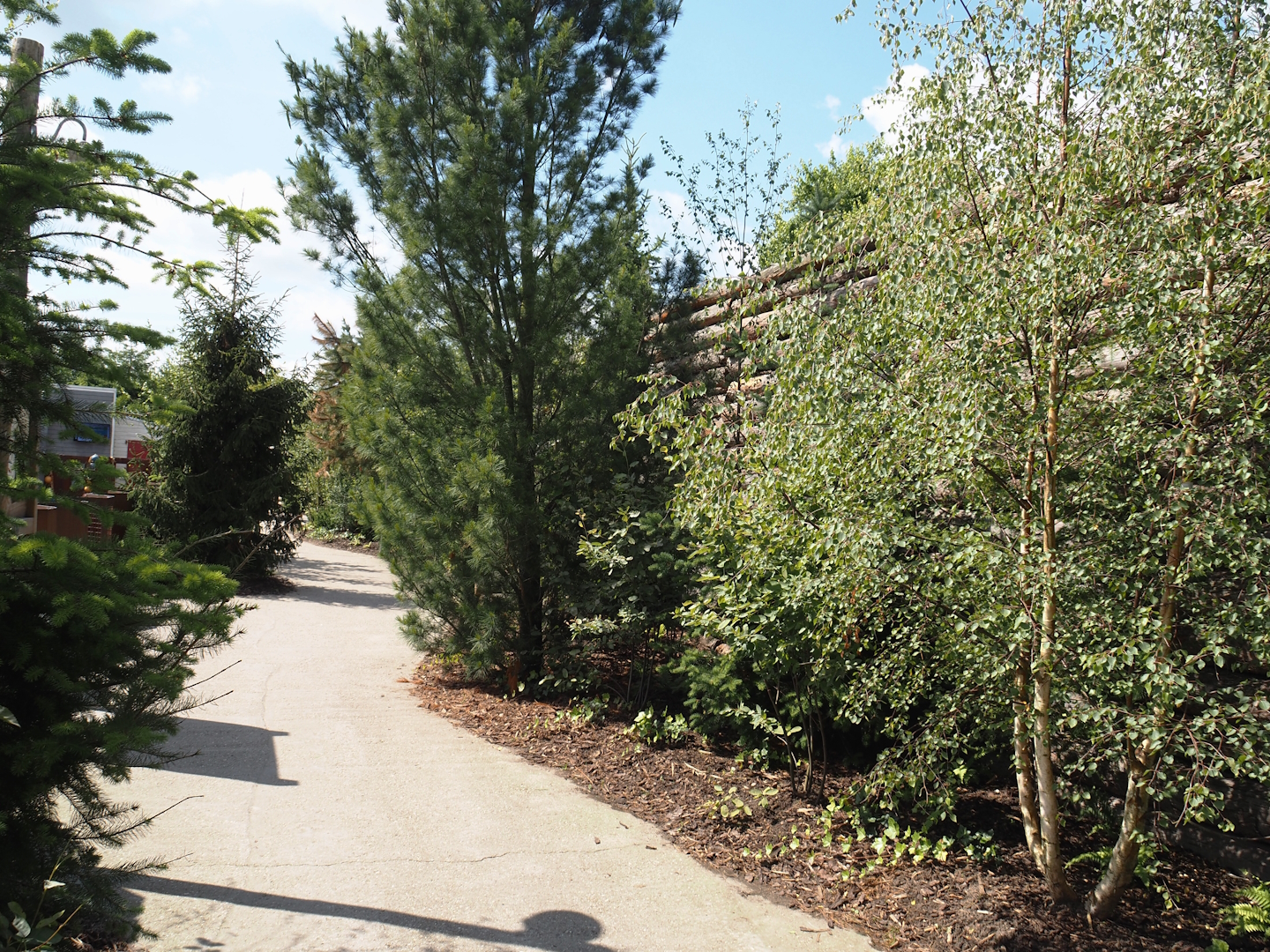 Nortica - Walkway, 2024-06-23