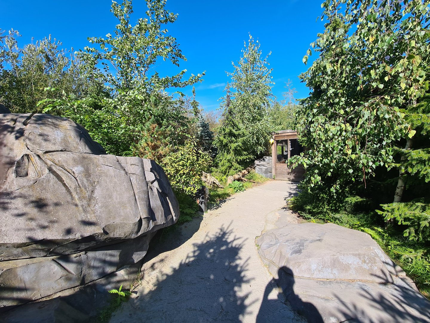 Nortica - Walkway in beaver area