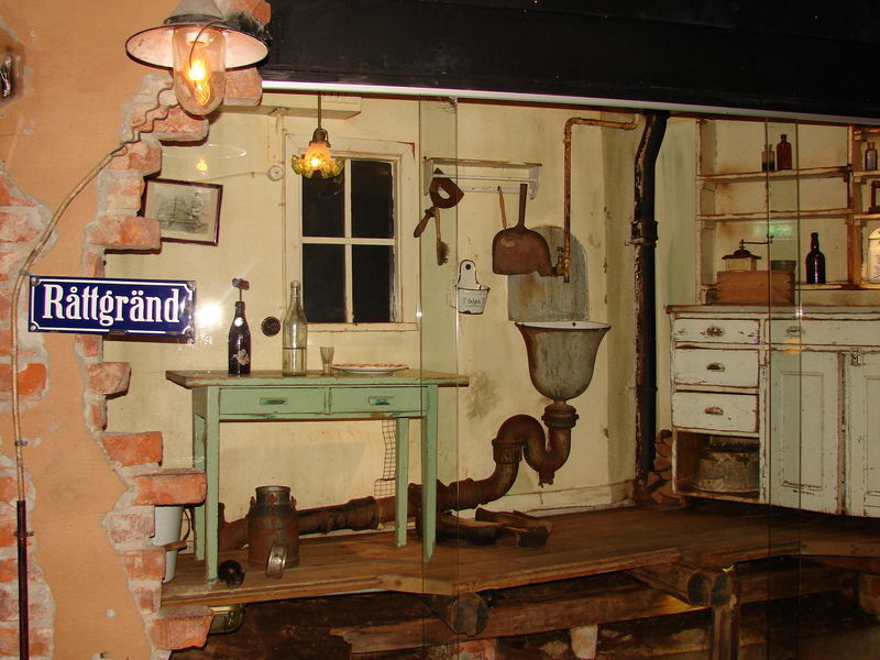 Norway rat (Rattus norvegicus) Exhibit