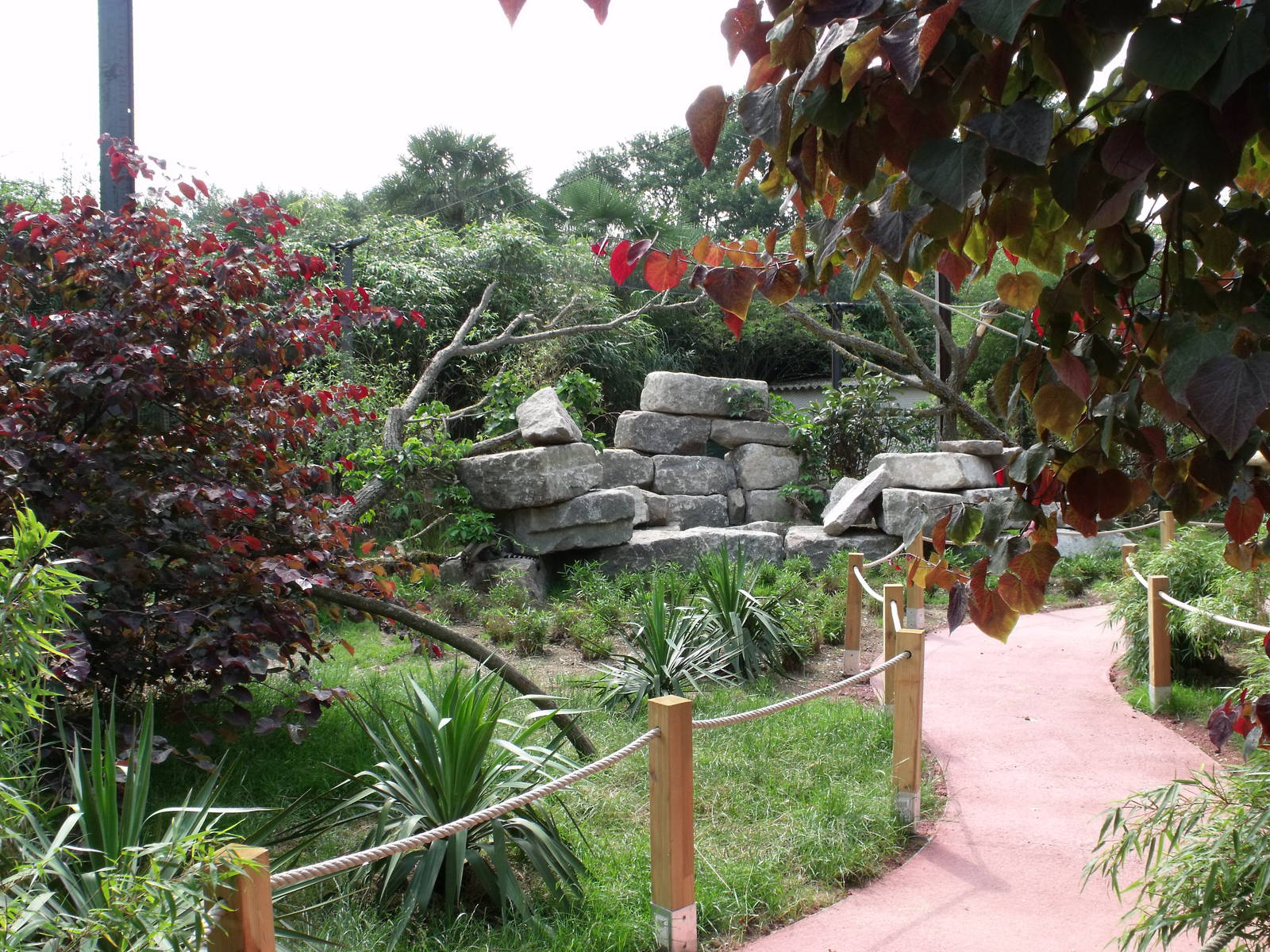 Nosy B? the new walk-through exhibit