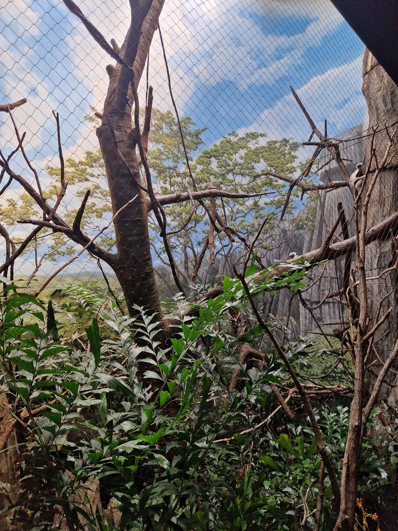 Not a world class exhibit