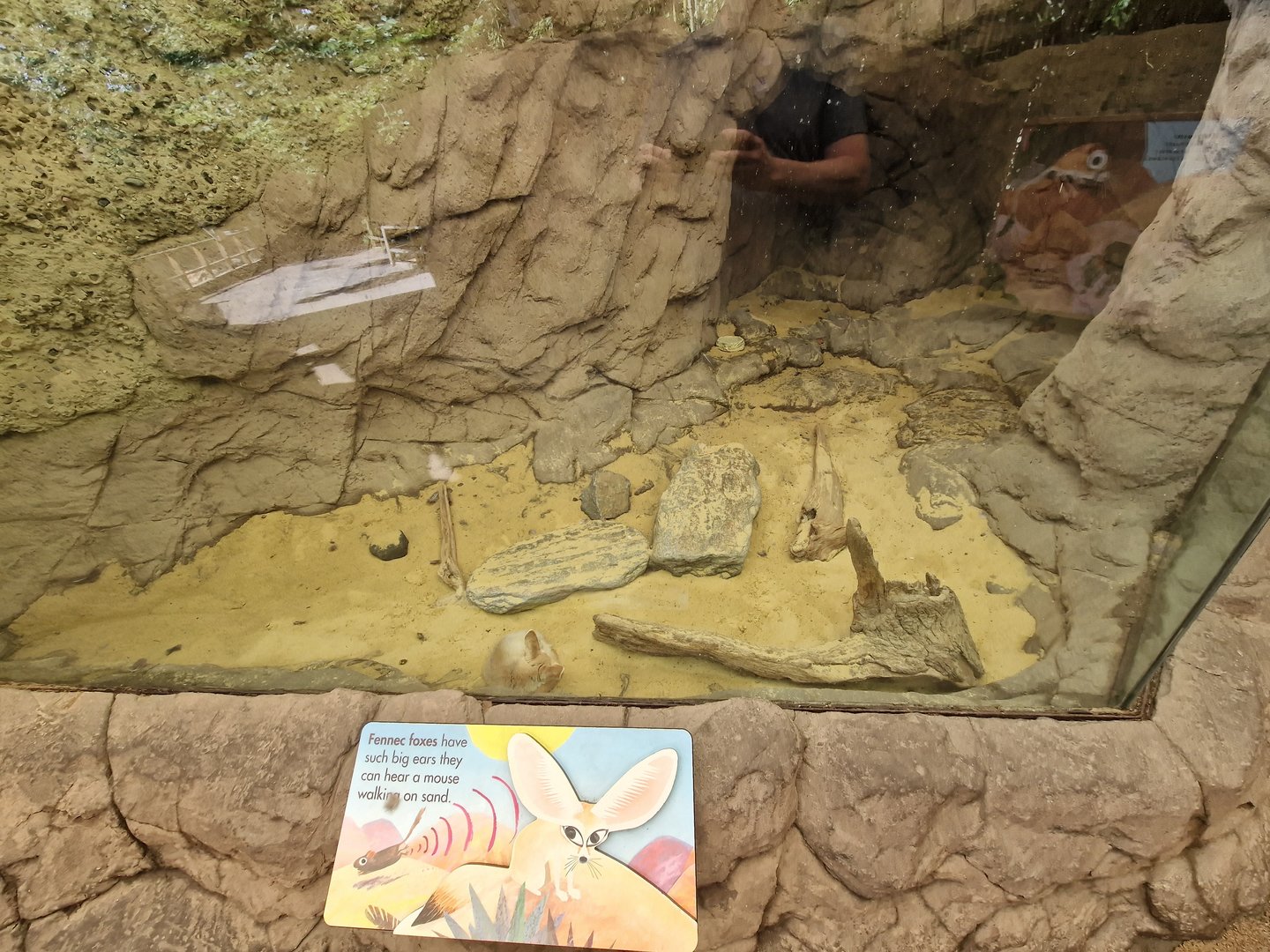 Not a world class exhibit