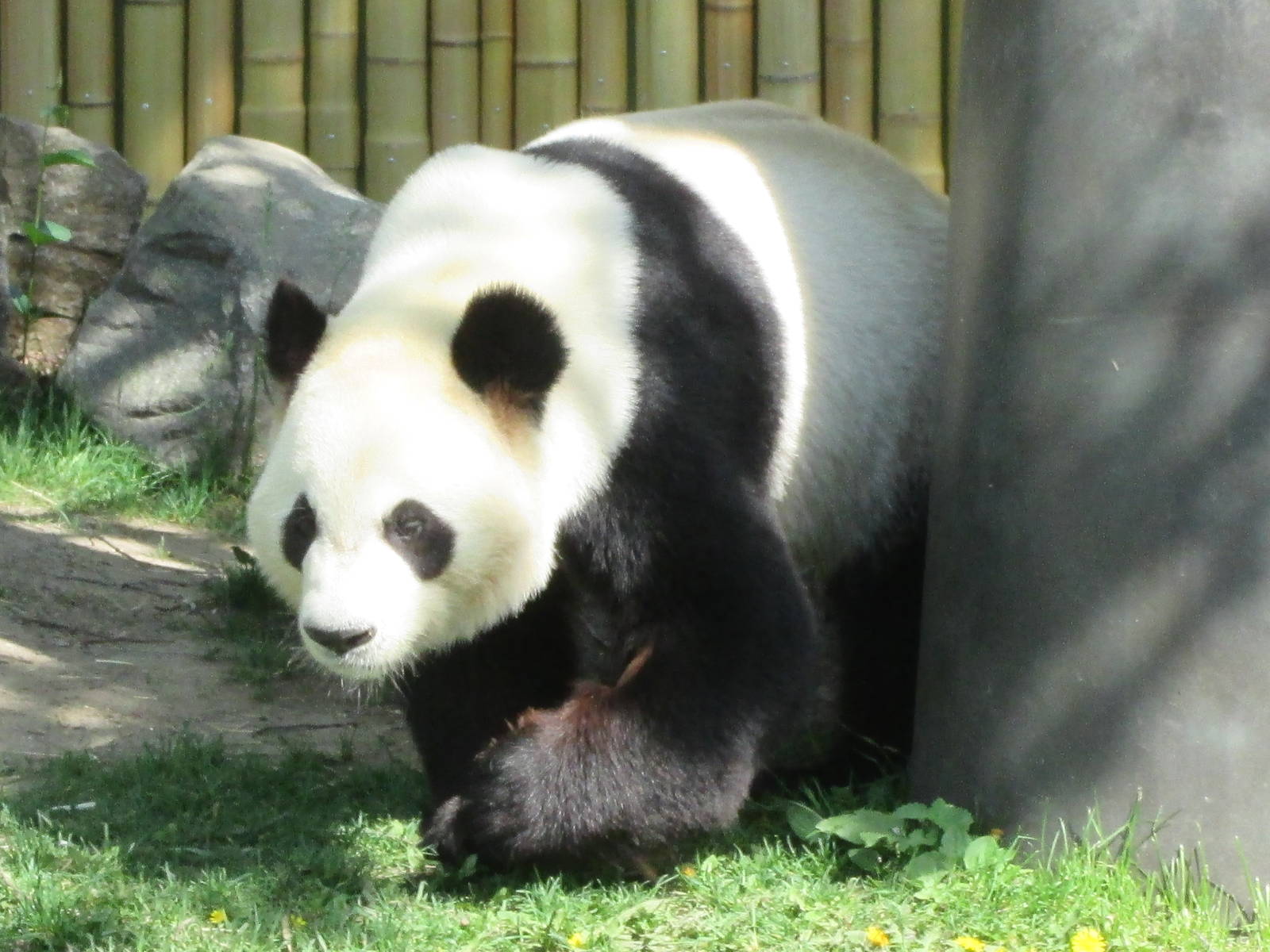 Not asleep for once!