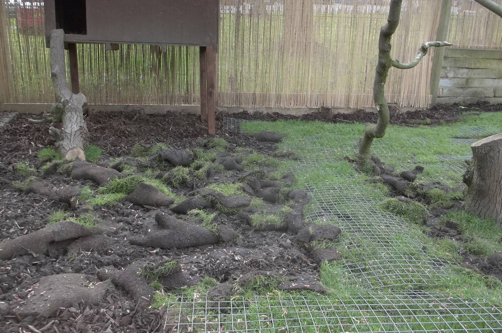 Not enough mesh to go round here! 21st May 2016