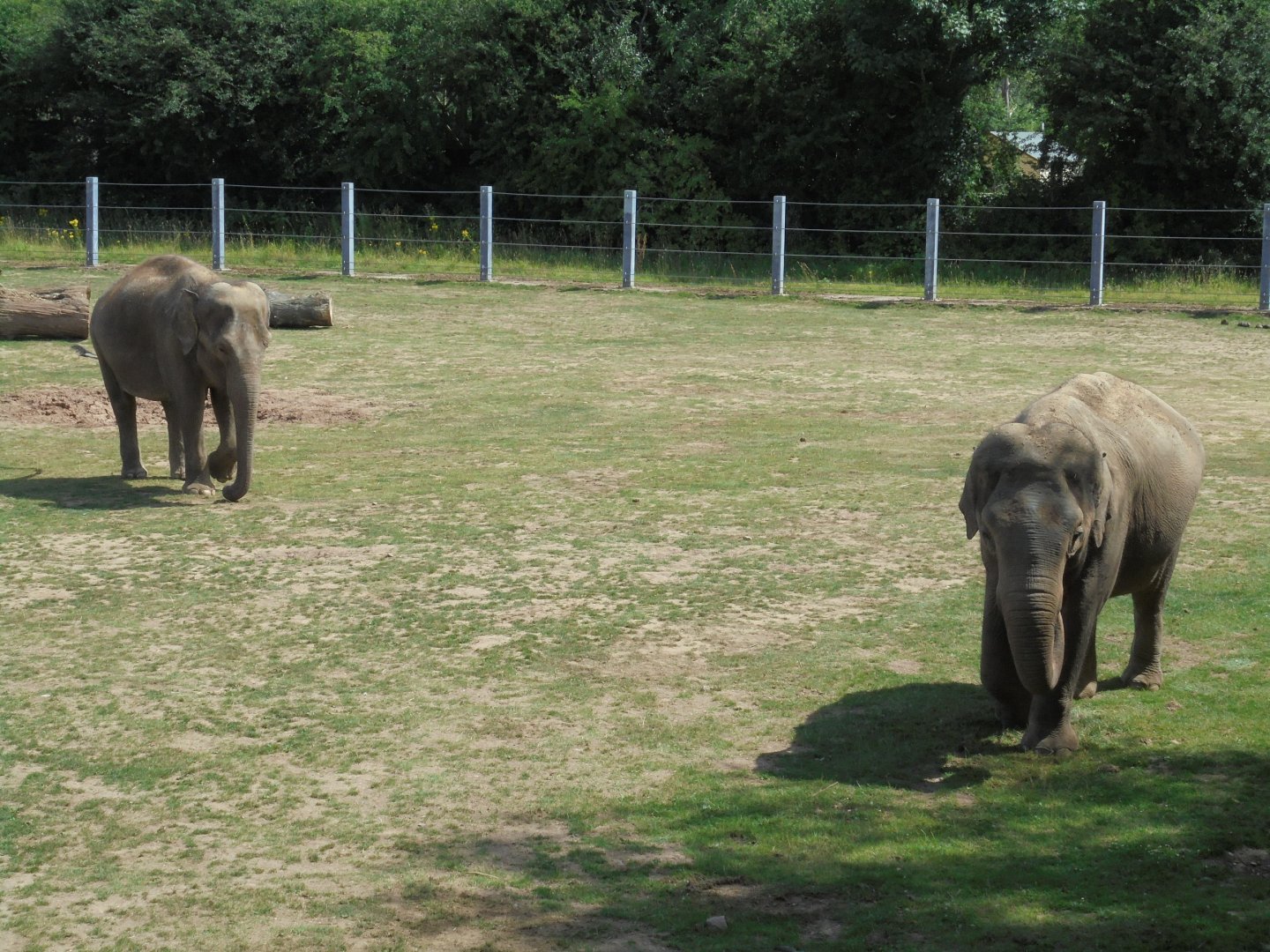 Not for much longer?