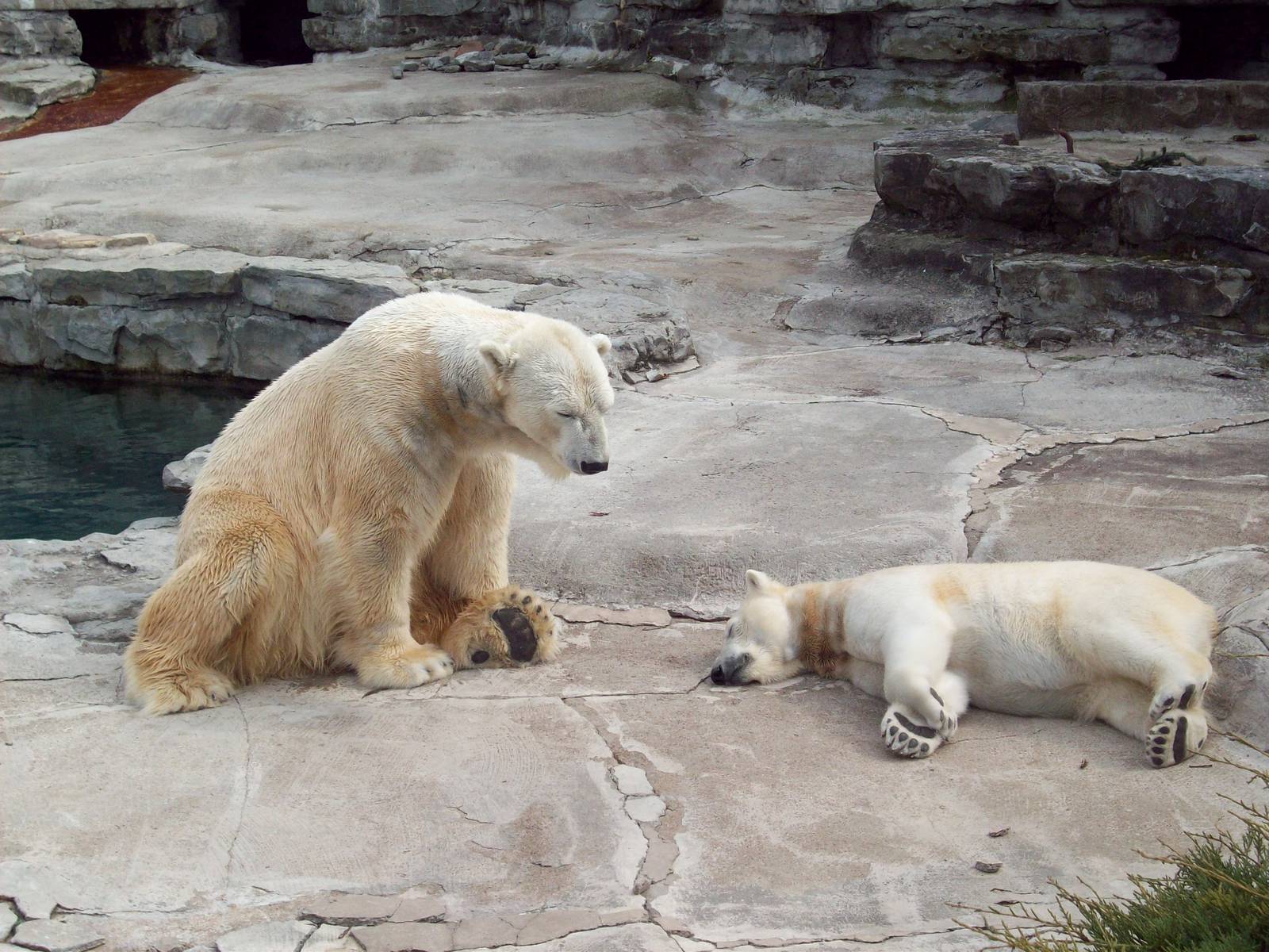 Not going to fall a...ss...leeppppppppp