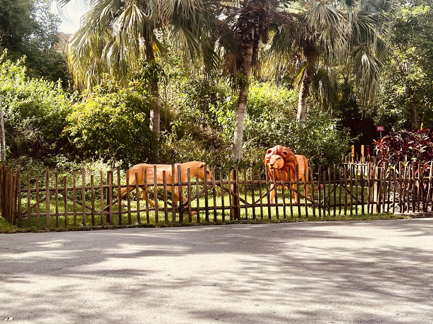 Not going to lie…I’ve seen better lion enclosures