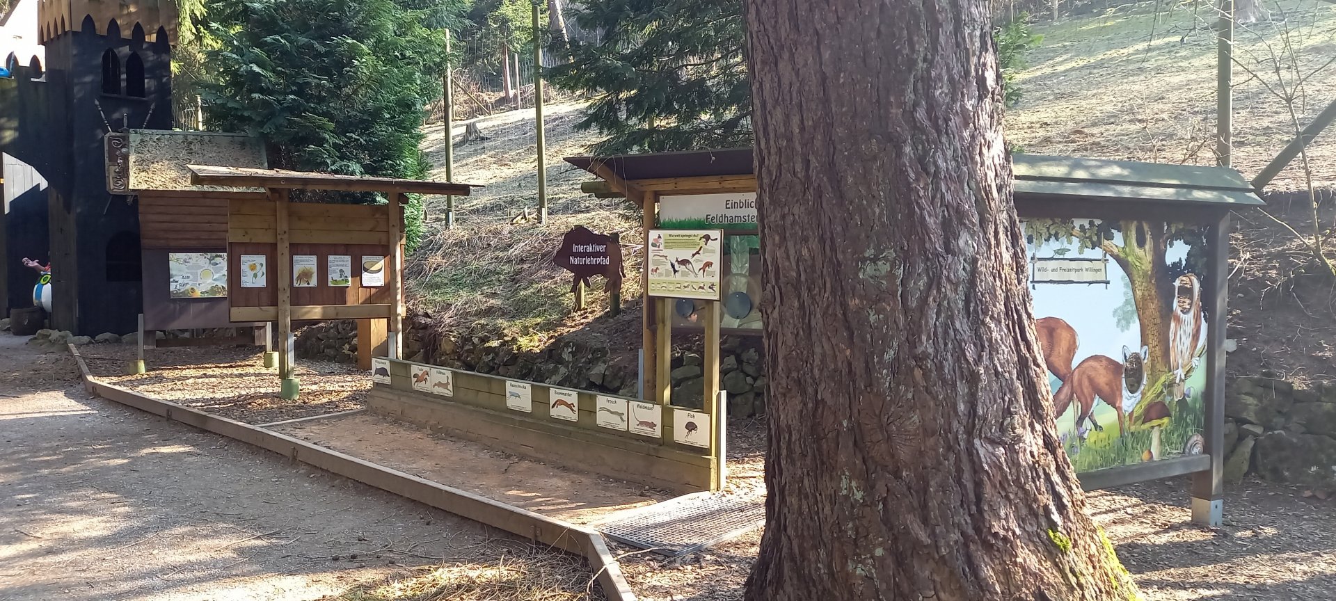 Not just for kids, how far can you jump ?