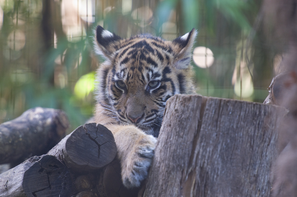 Not quite looking at you