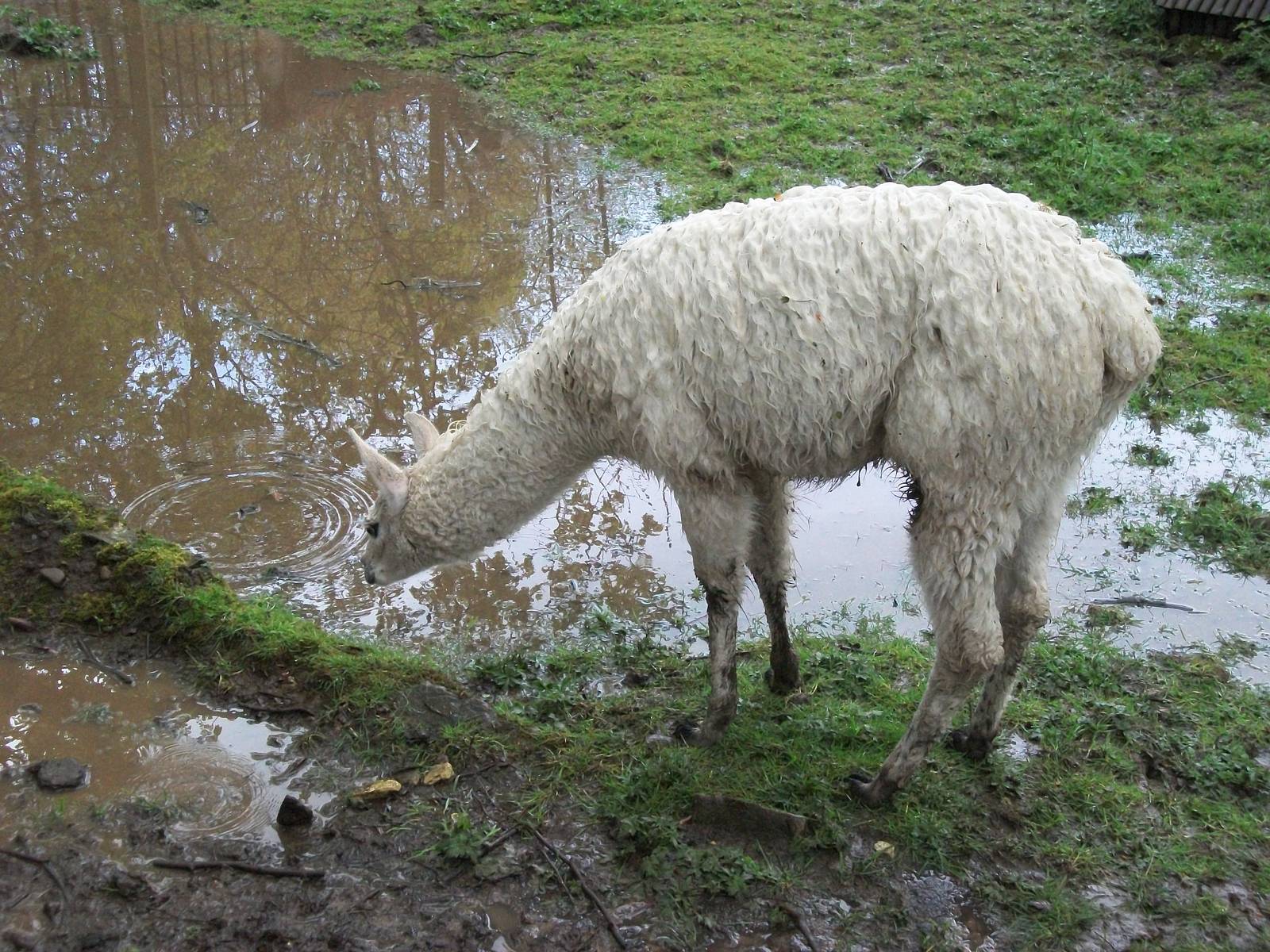 Not so sure, 10th May 2014