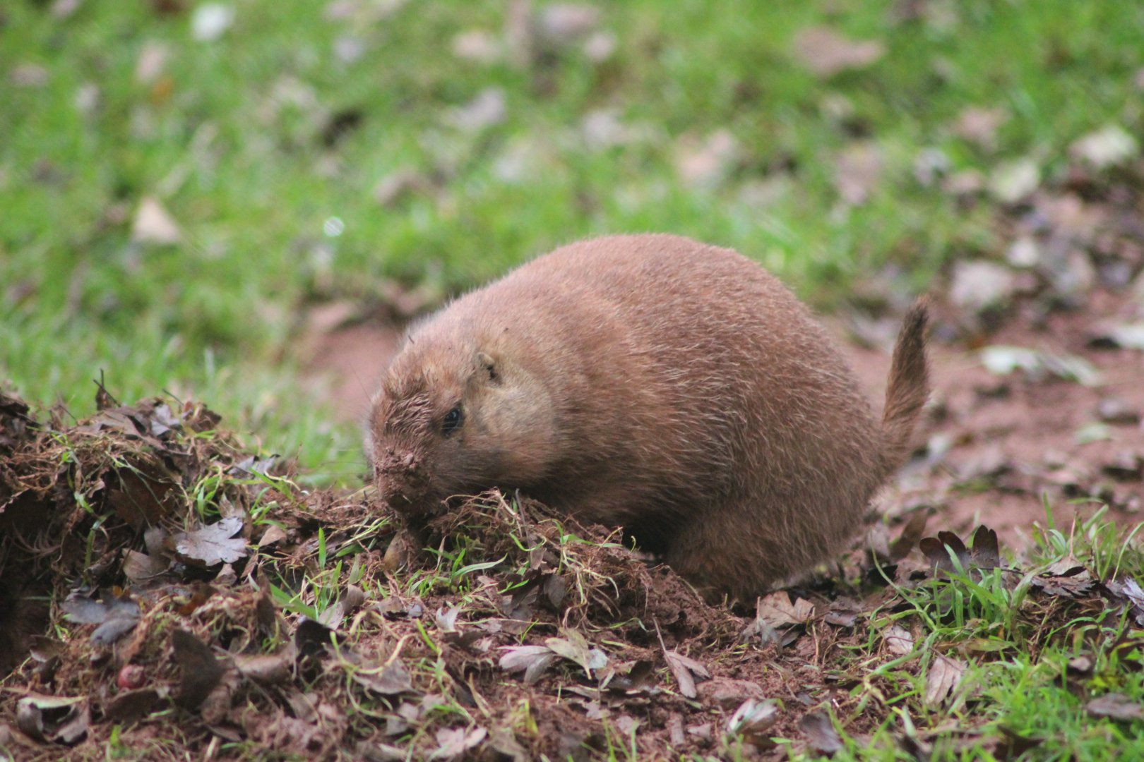 Not sure if this is Alan or Steve