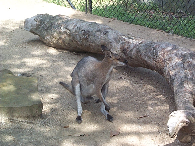 not sure of species, but close up