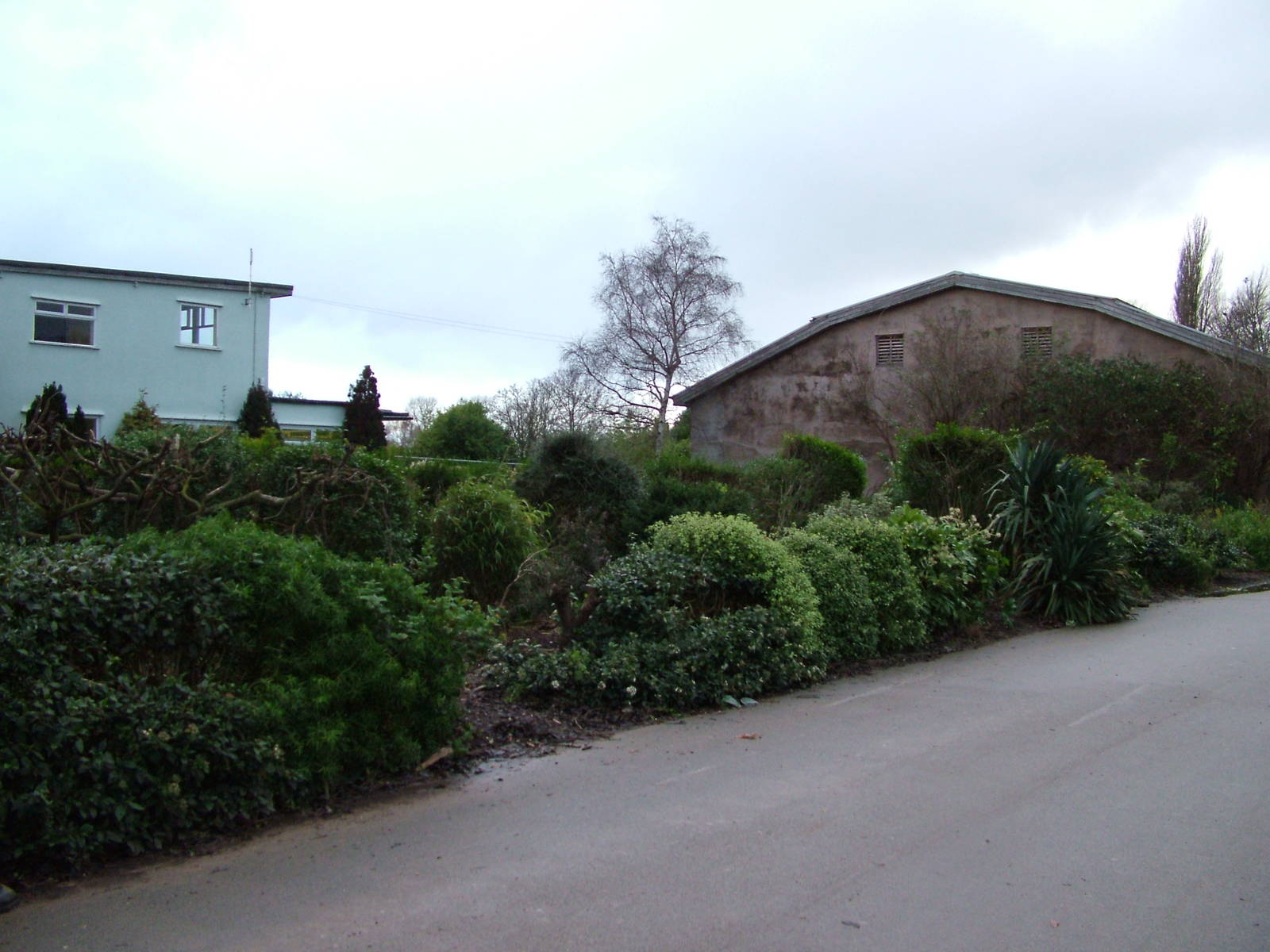 Not the Bird Corridor aviaries at Chester 06/12/09