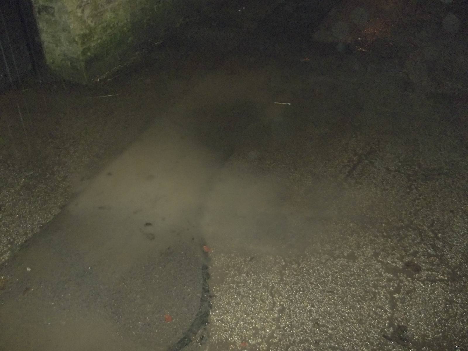 Not the Hippopotamus Lake at Flamingo Land, 22nd Novemebr 2014