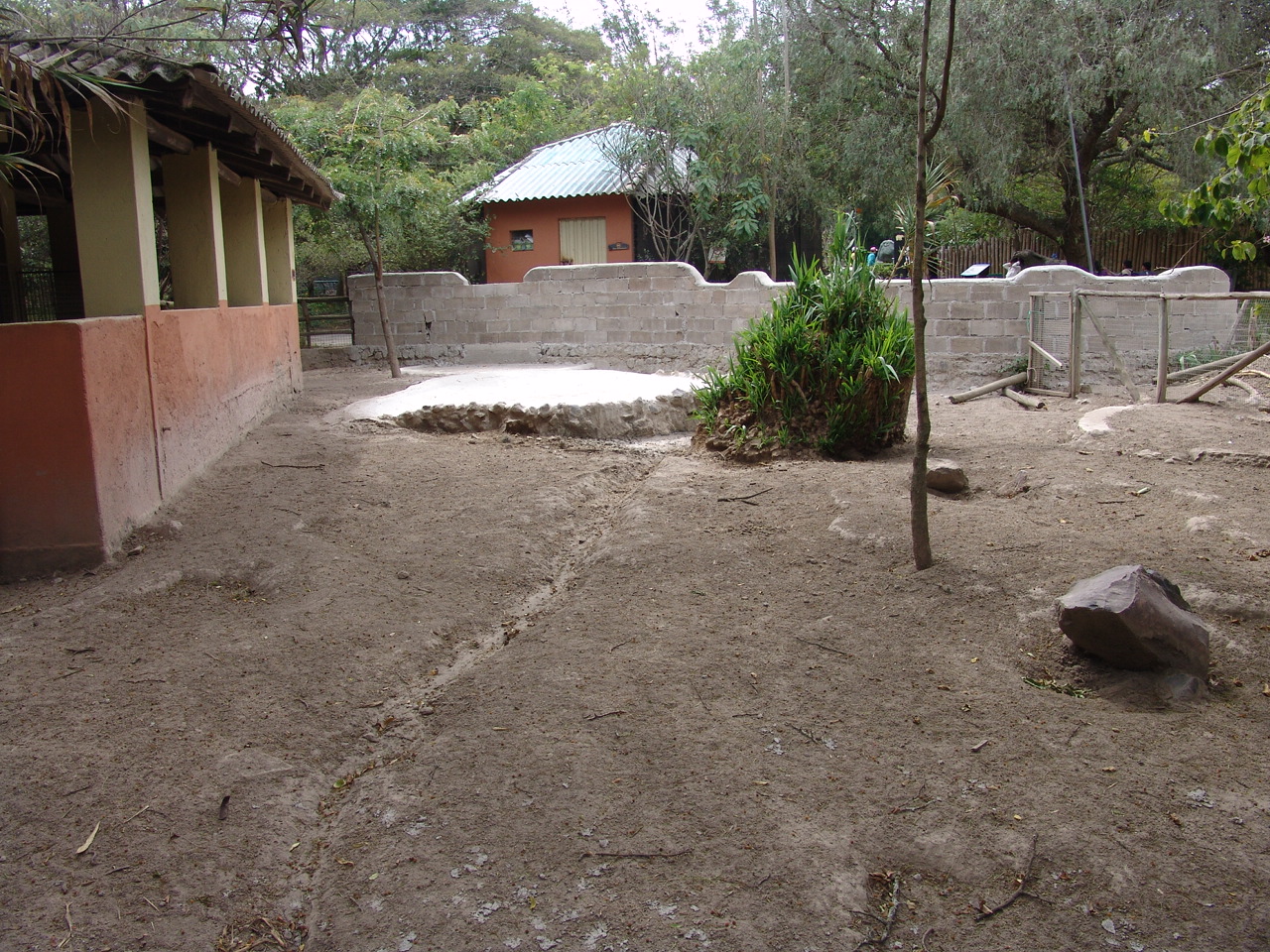 Not yet finished (renewed) Collared Peccary's (Pecari tajacu) enclosure