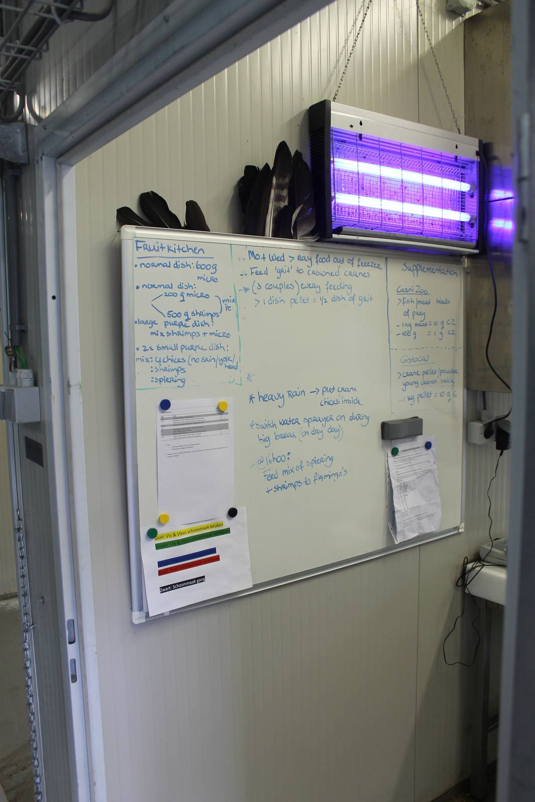 Notes on the White-board