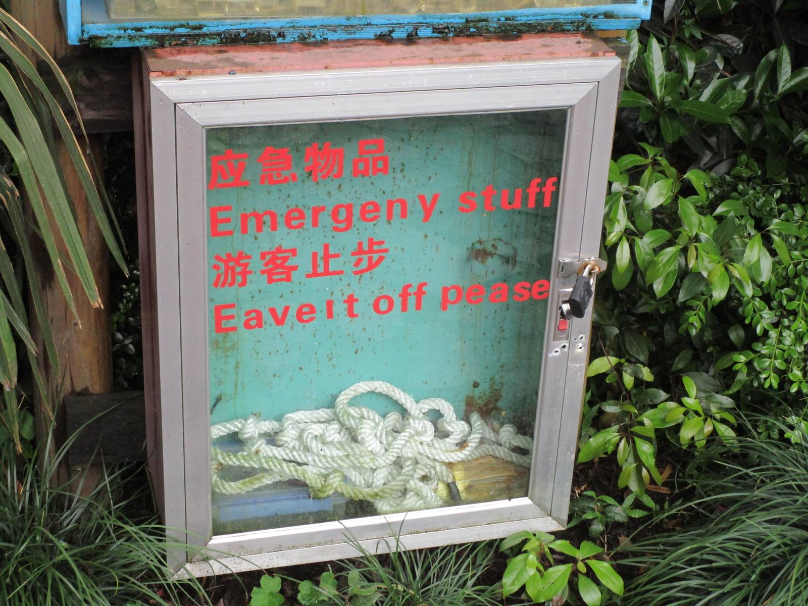 Nothing about this picture is OK