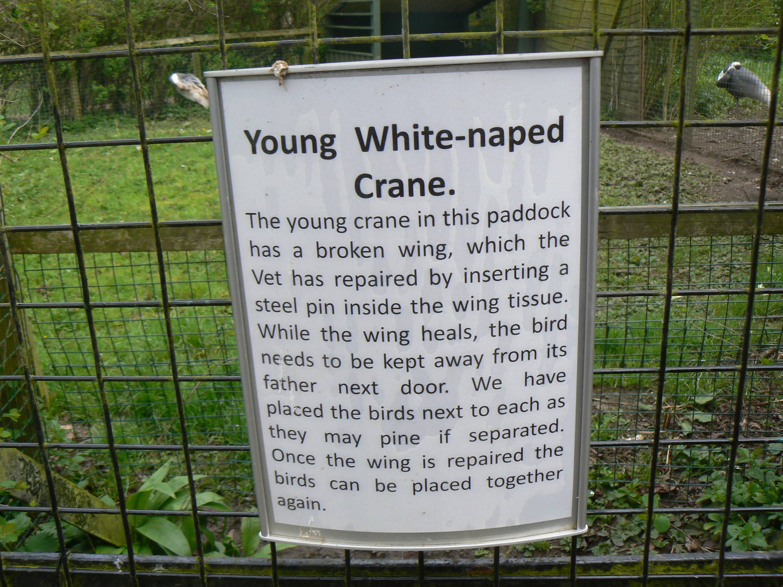 Notice - 24 April 2016