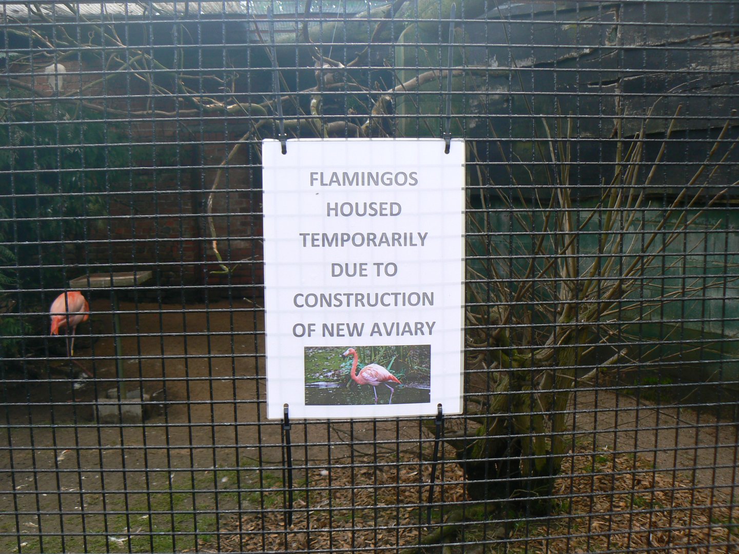 Notice - 4 March 2017