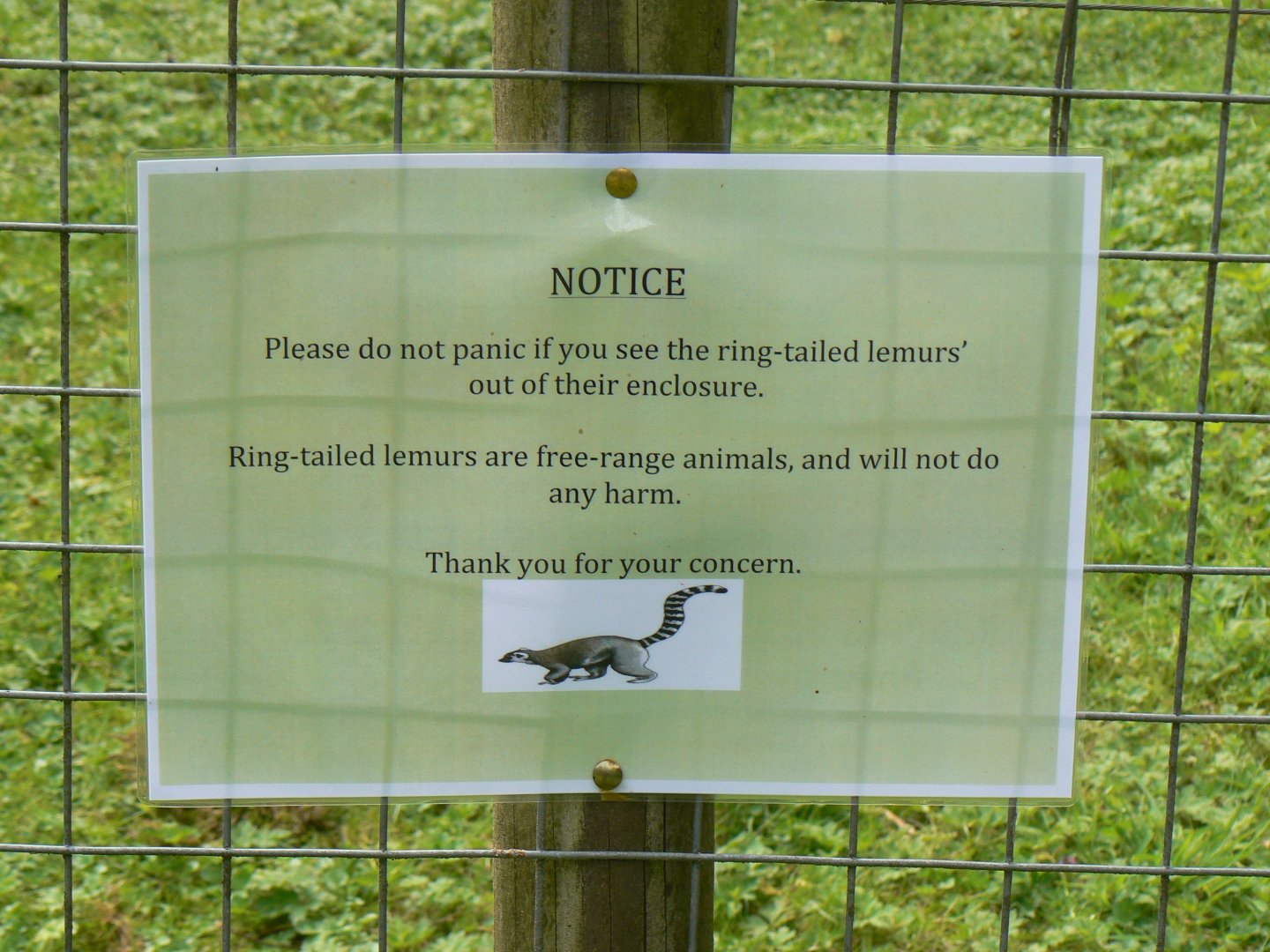 Notice - 8 August 2017