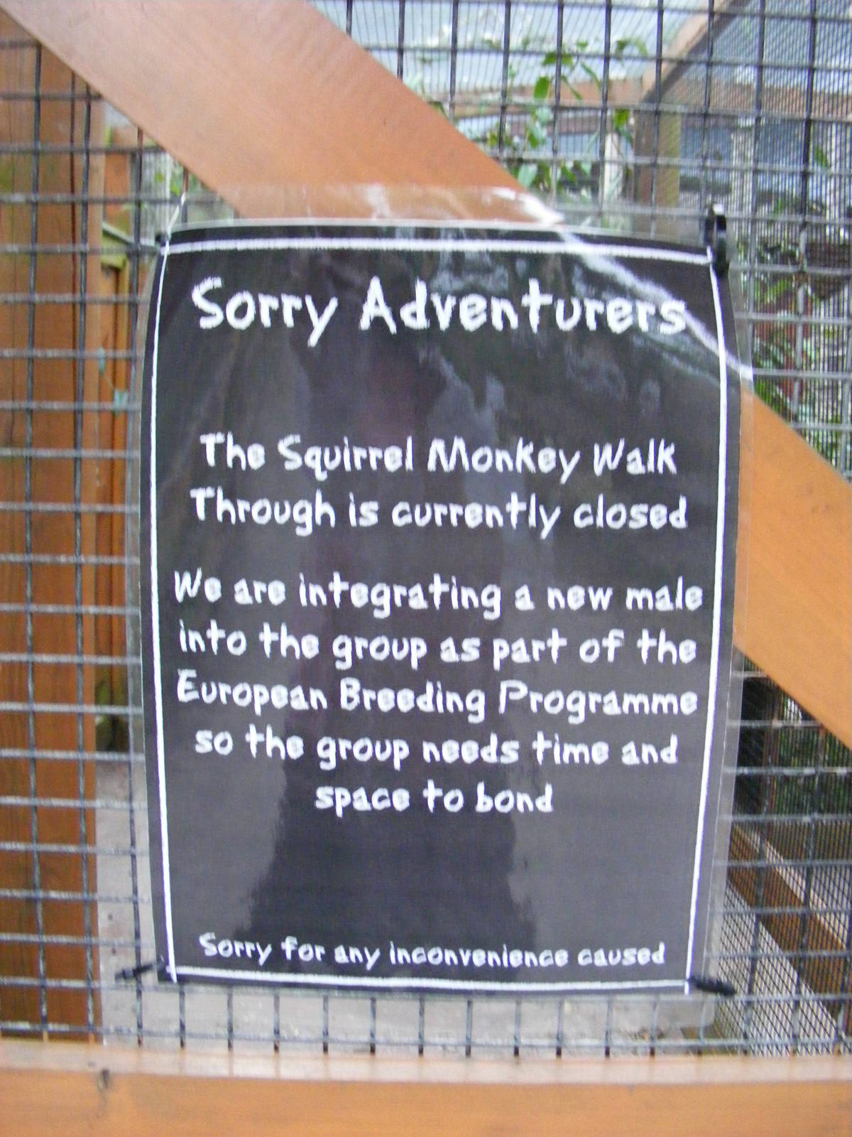 Notice about squirrel monkeys at Chessington Zoo, 25 June 2010