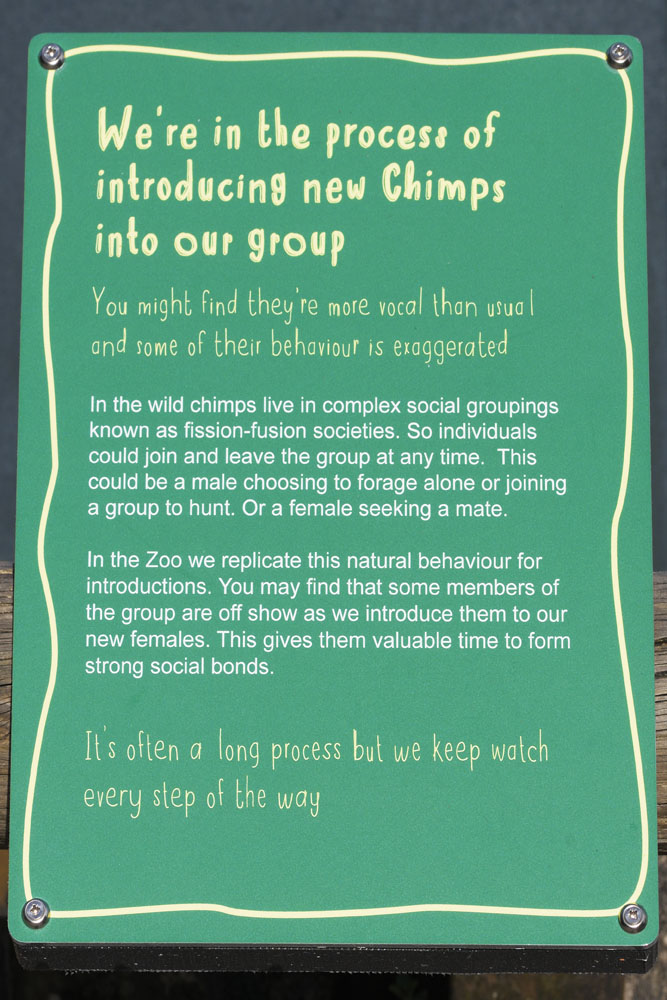 Notice beside Chimp Enclosure