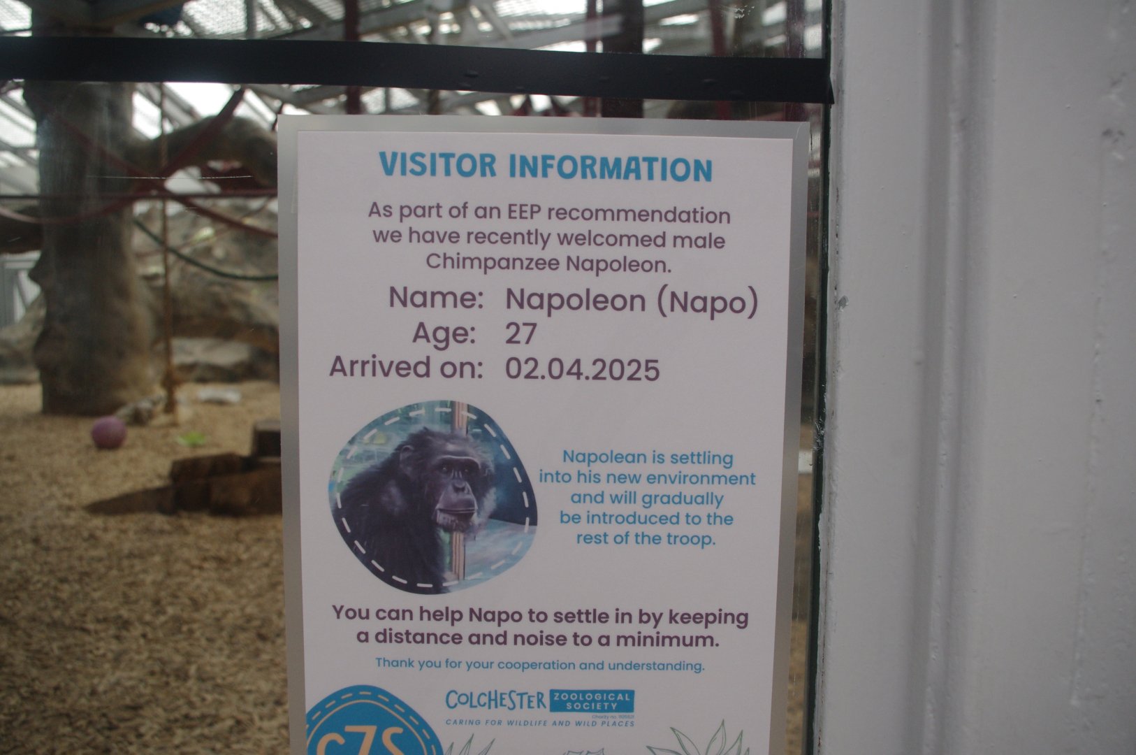Notice in Chimpanzee Lookout- 10/4/2025