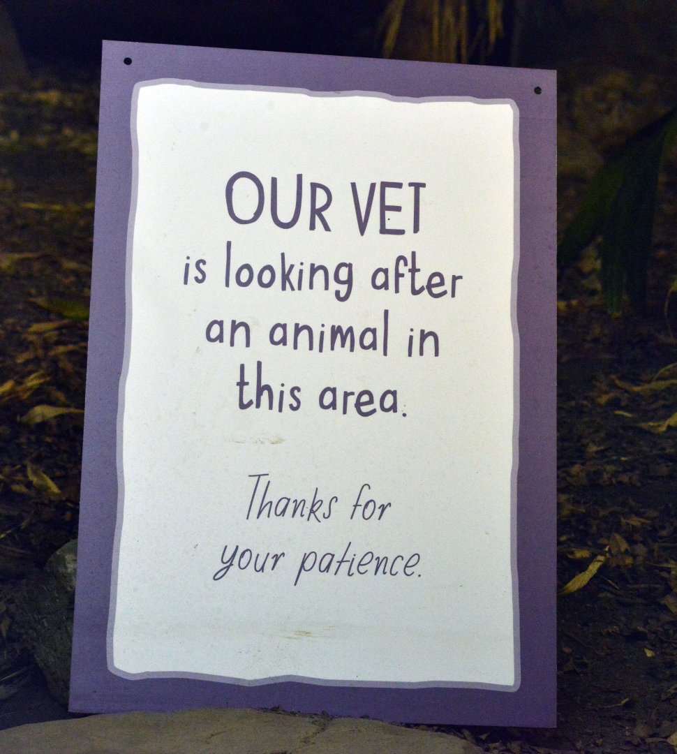 Notice in the Komodo Dragon exhibit